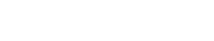 Custom AI Studio logo
